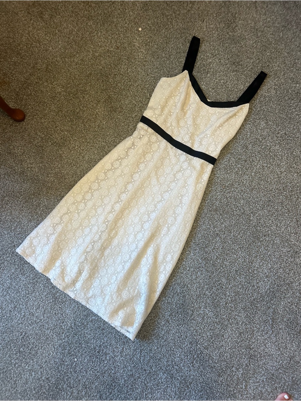LOFT Cream Lace Midi Dress with Black Trim